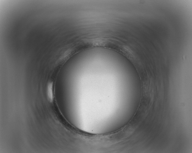 X0000062620028200512230958