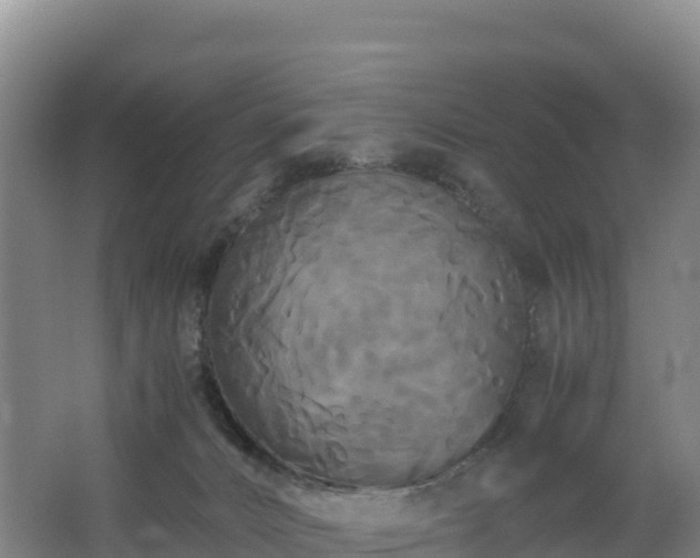 X0000062620032200512230958