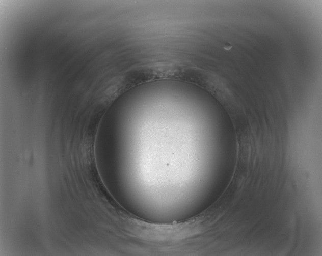 X0000062620034200512230958