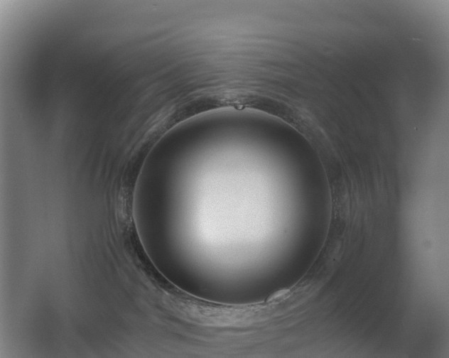 X0000062620044200512230958