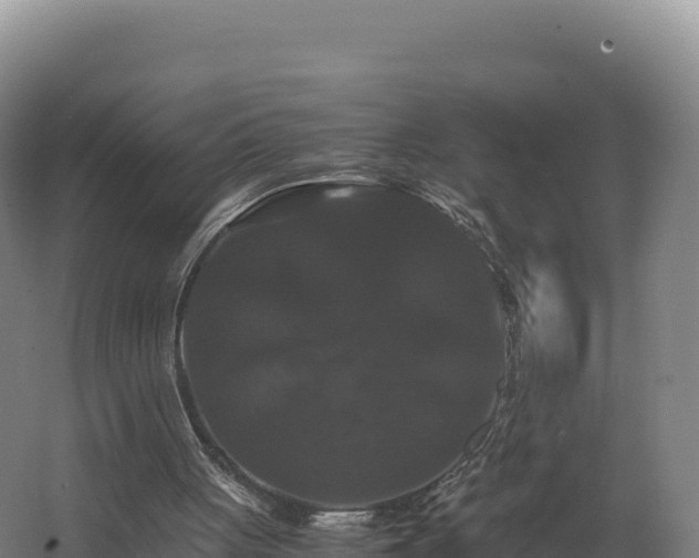 X0000062620051200512230957