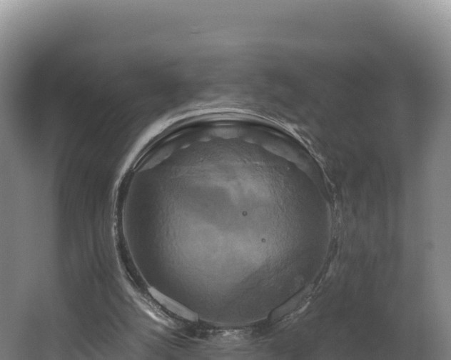 X0000062620056200512230957