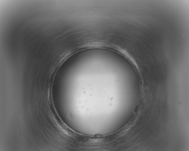X0000062620057200512230957