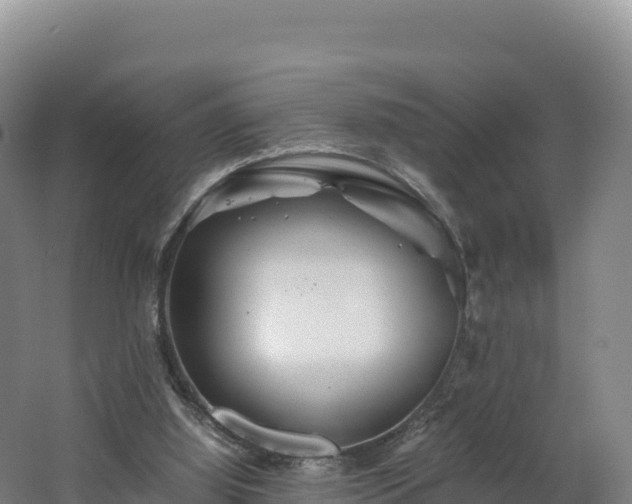 X0000062620060200512230957