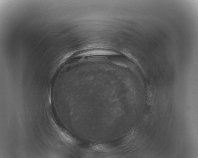 X0000062620062200512230957