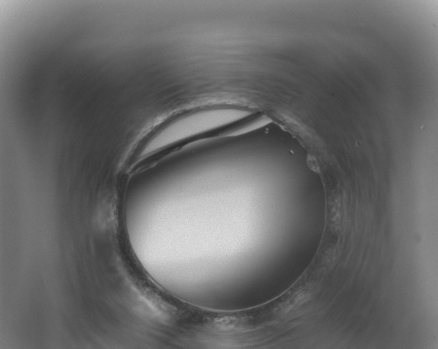 X0000062620064200512230957