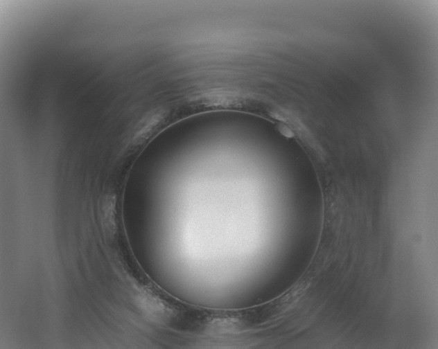 X0000062620066200512230957