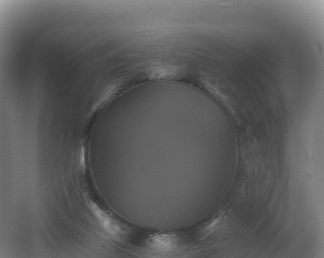 X0000062620067200512230957