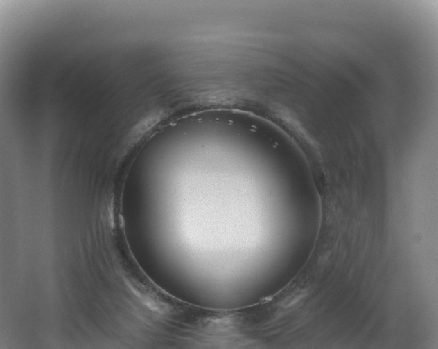 X0000062620068200512230957