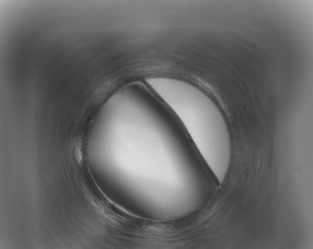 X0000062620069200512230957