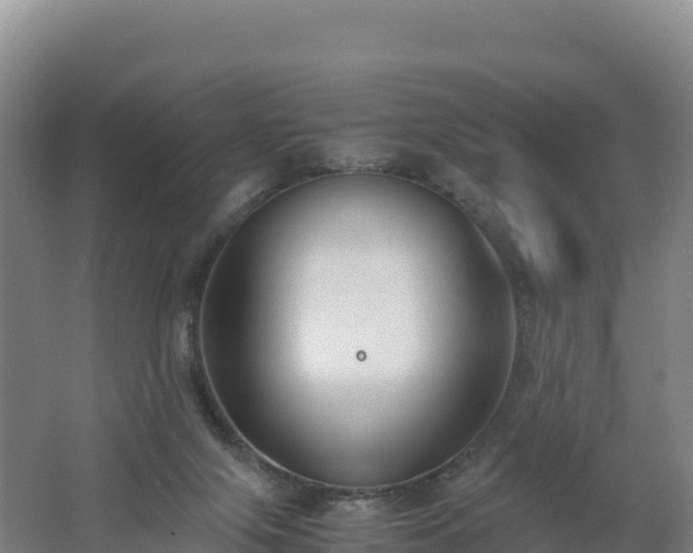 X0000062620071200512230957