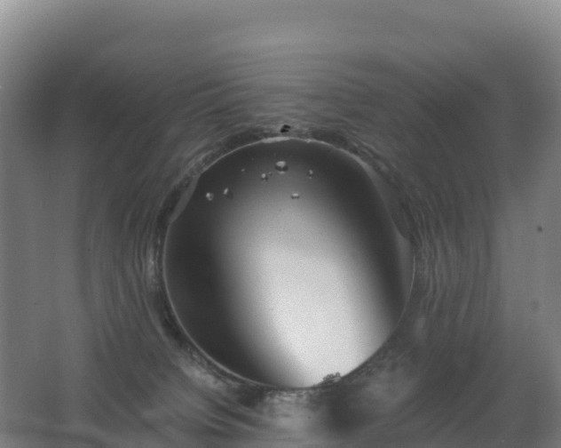 X0000062620084200512230958