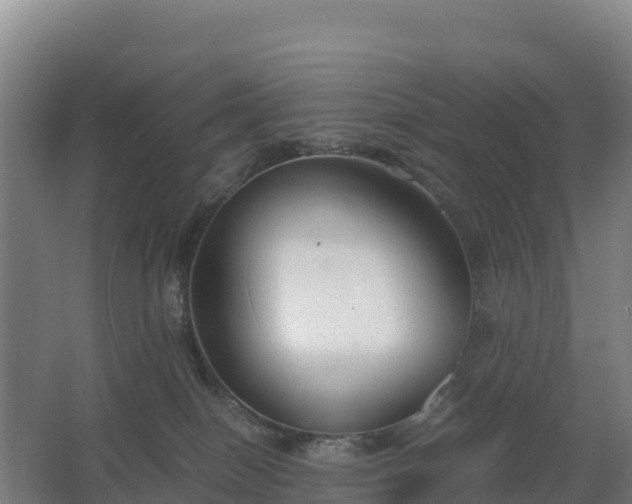 X0000062620086200512230958