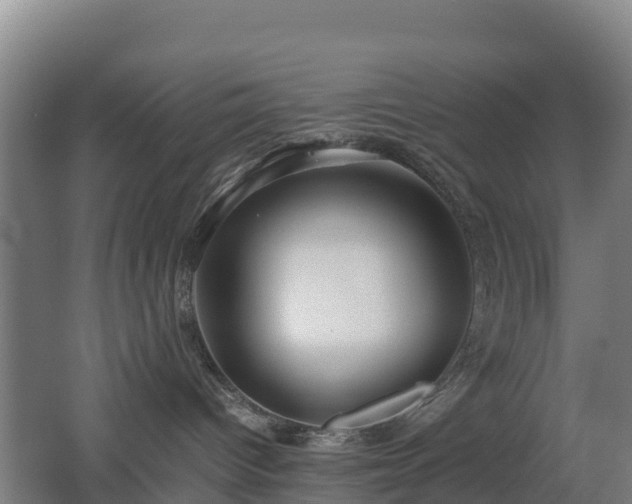 X0000062620096200512230958