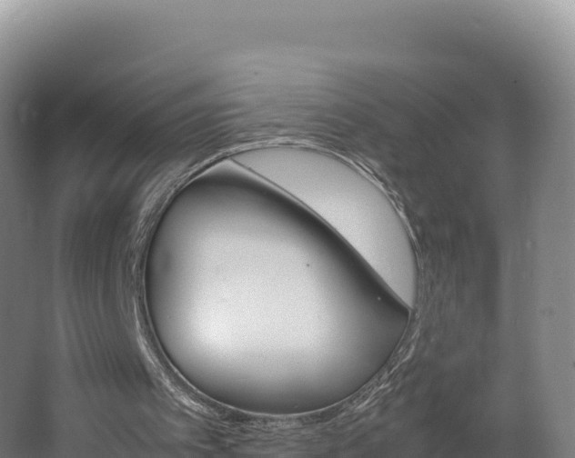 X0000062620097200512230957