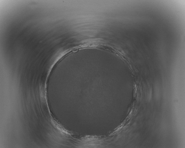 X0000062620100200512230957