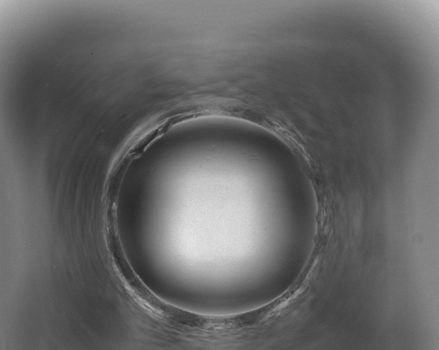 X0000062620101200512230957