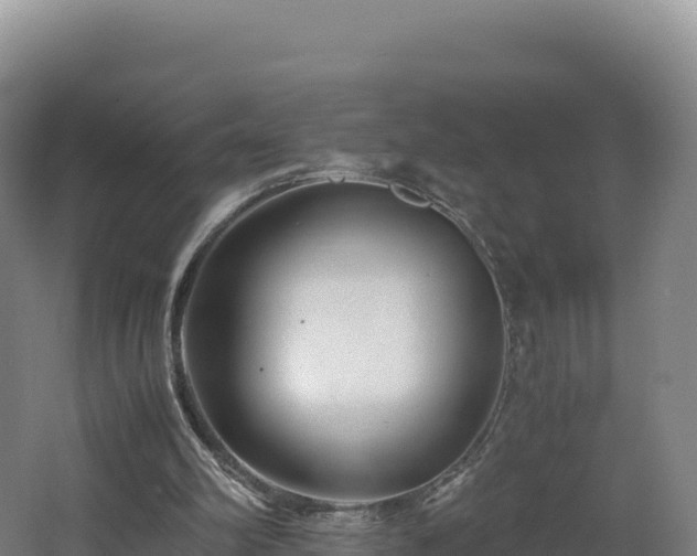 X0000062620102200512230957
