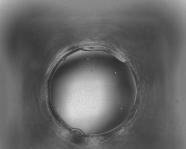 X0000062620103200512230957
