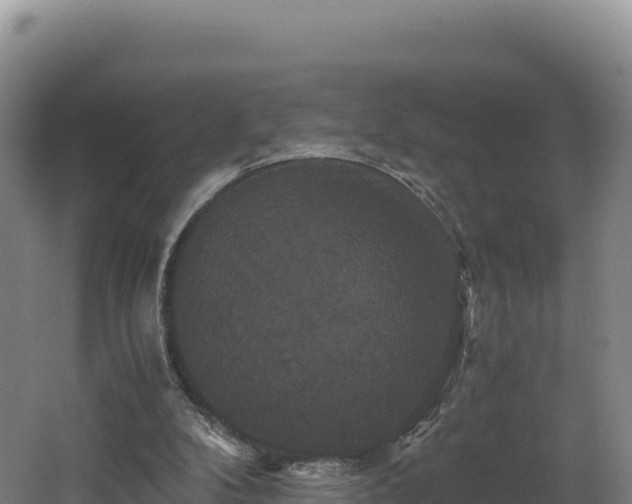 X0000062620104200512230957
