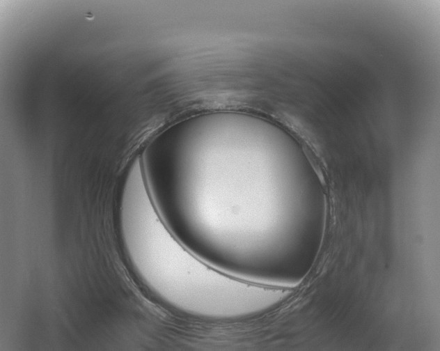 X0000062620105200512230957