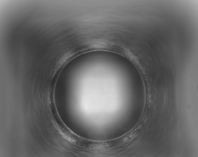 X0000062620106200512230957