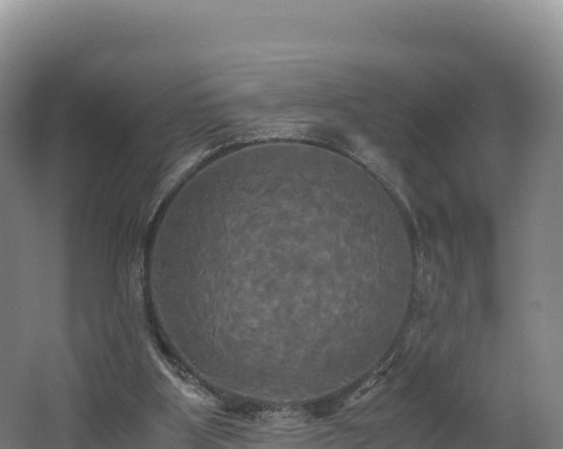 X0000062620107200512230957