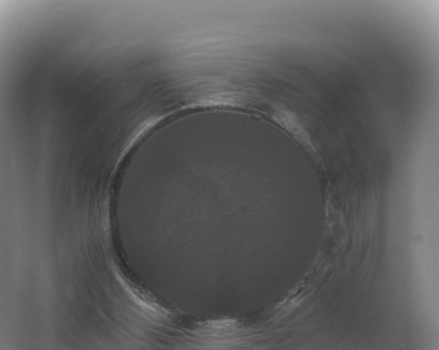 X0000062620108200512230957