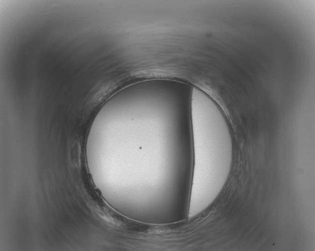 X0000062620109200512230957