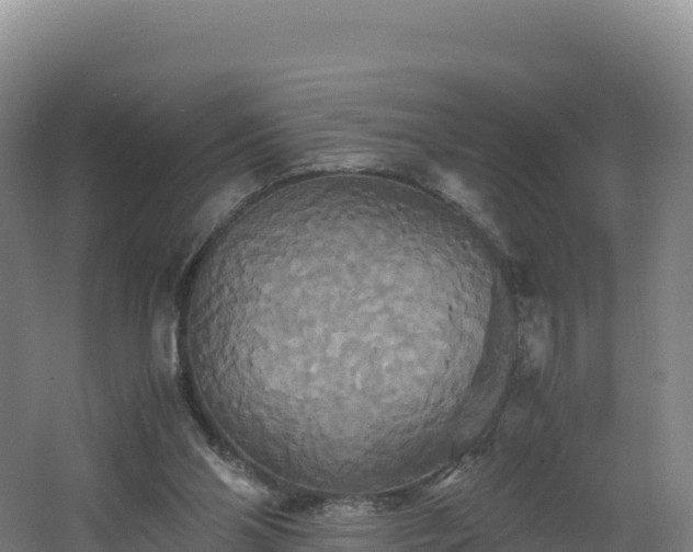 X0000062620110200512230957