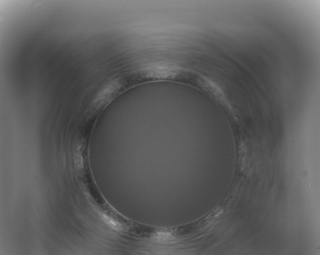 X0000062620114200512230957
