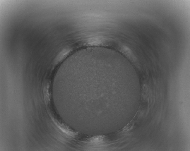 X0000062620116200512230957