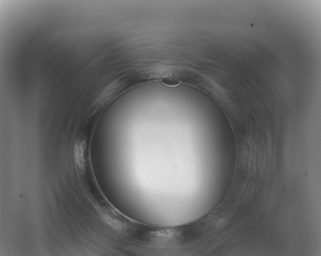 X0000062620118200512230957
