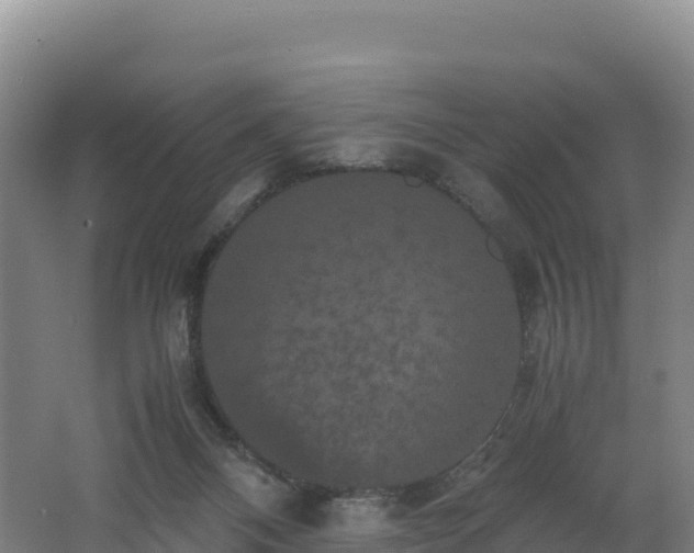X0000062620120200512230957