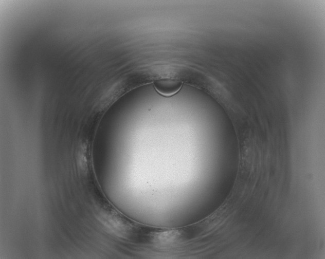 X0000062620122200512230957