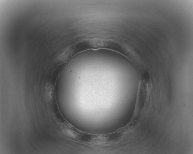 X0000062620125200512230957