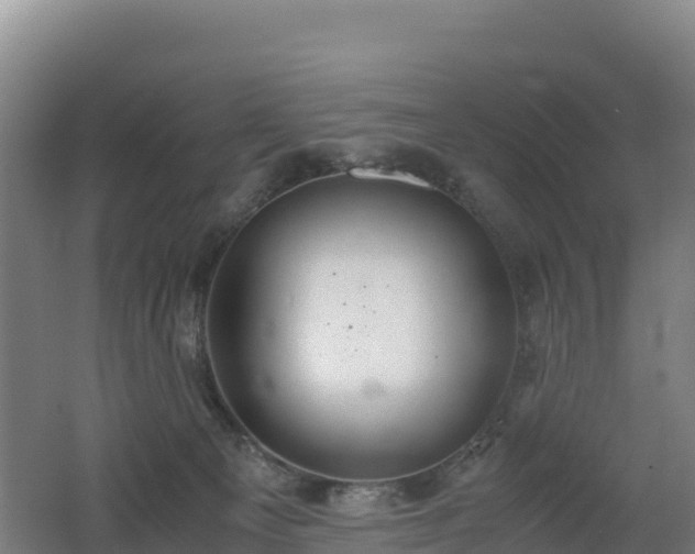 X0000062620129200512230957
