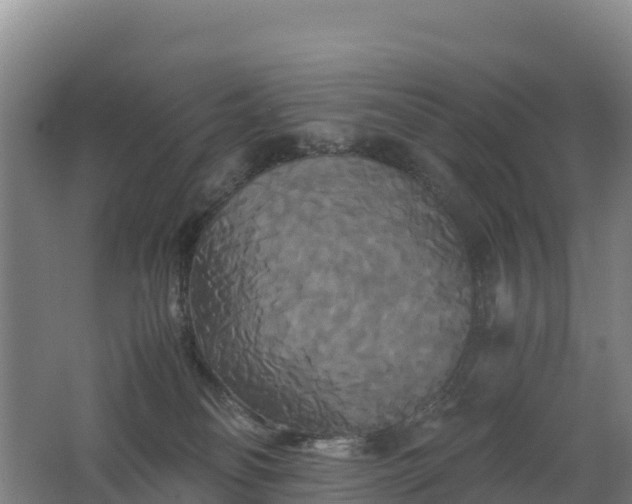 X0000062620134200512230956