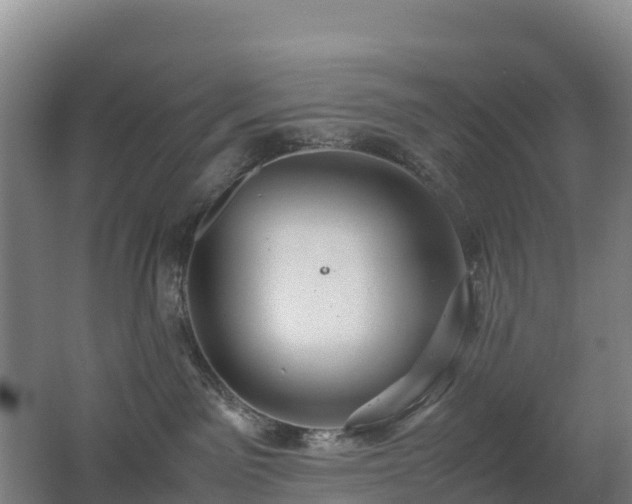X0000062620141200512230956
