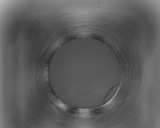 X0000062620144200512230956