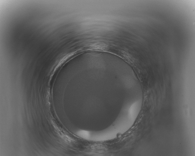 X0000062620146200512230955