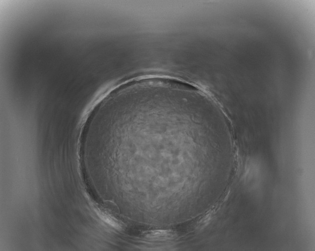 X0000062620151200512230956