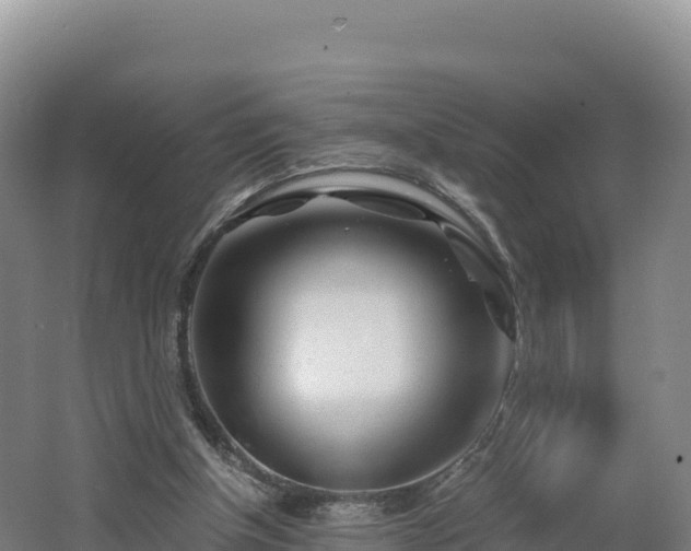 X0000062620154200512230956