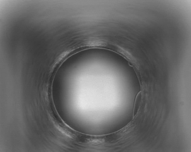 X0000062620155200512230956