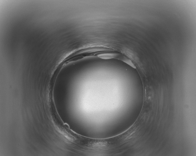 X0000062620156200512230956