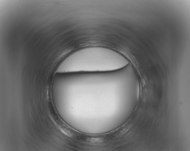 X0000062620157200512230956