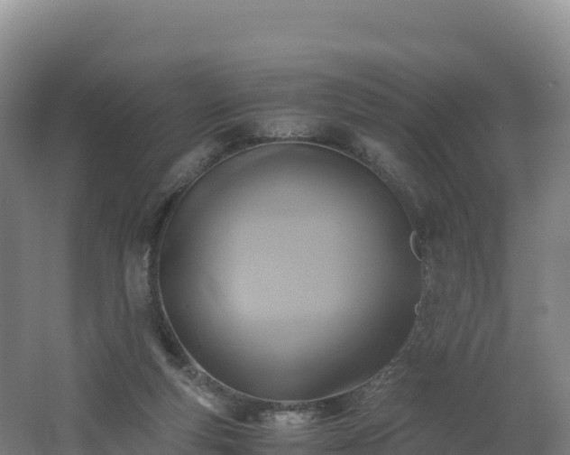 X0000062620163200512230956