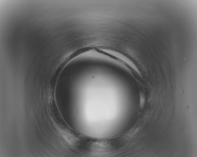 X0000062620164200512230956