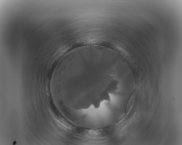 X0000062620166200512230956