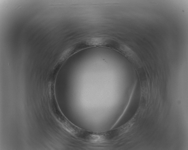 X0000062620167200512230956
